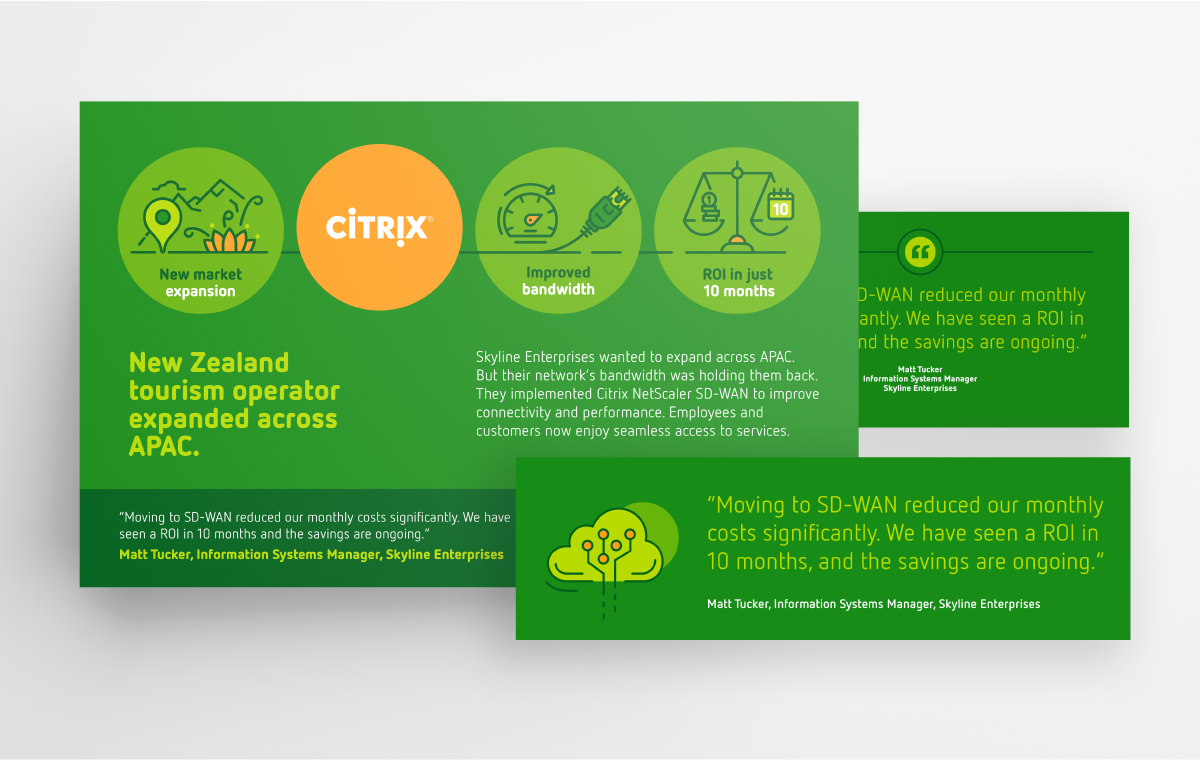 Citrix amplification assets