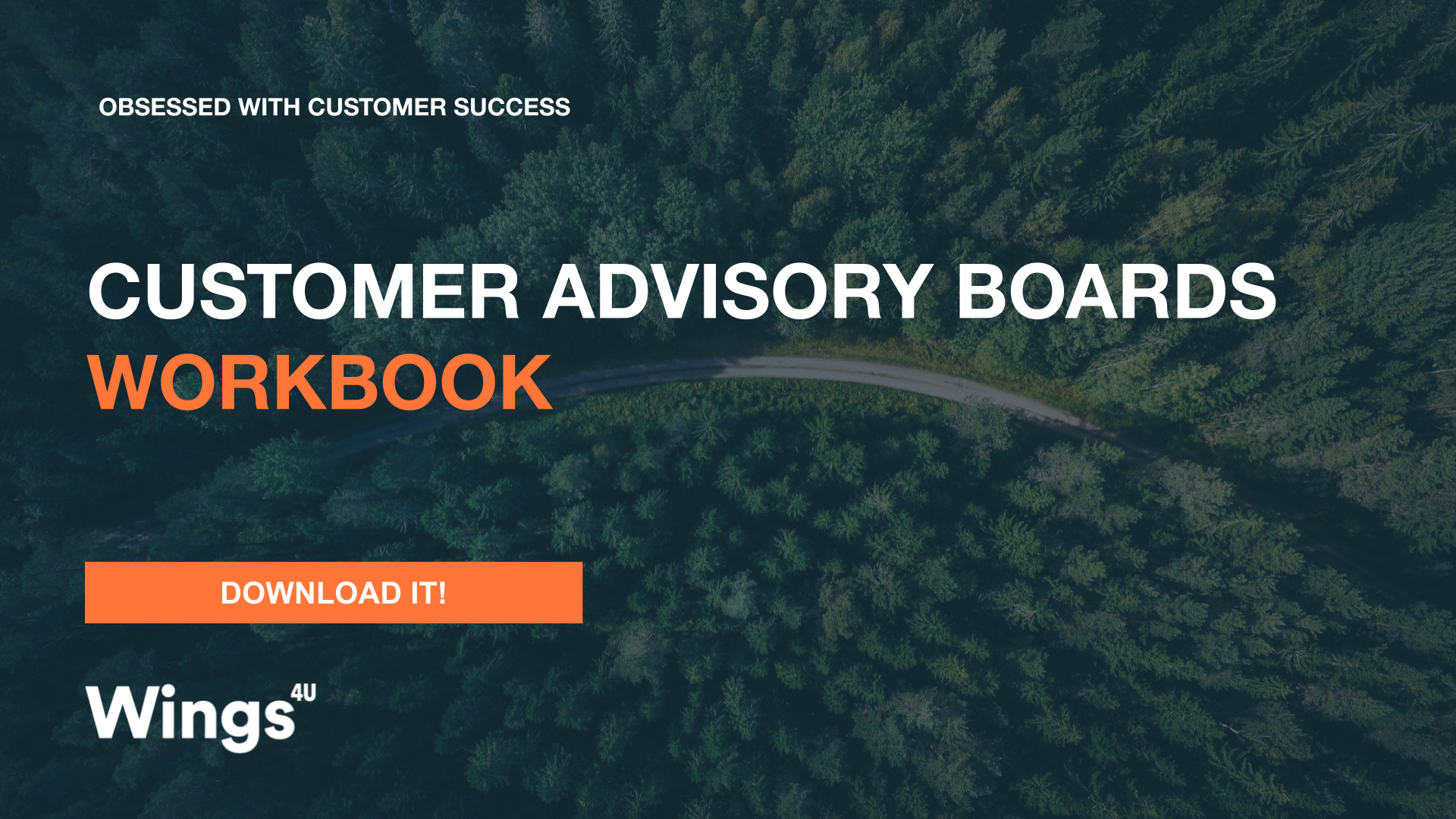 Customer Advisory Boards Workbook